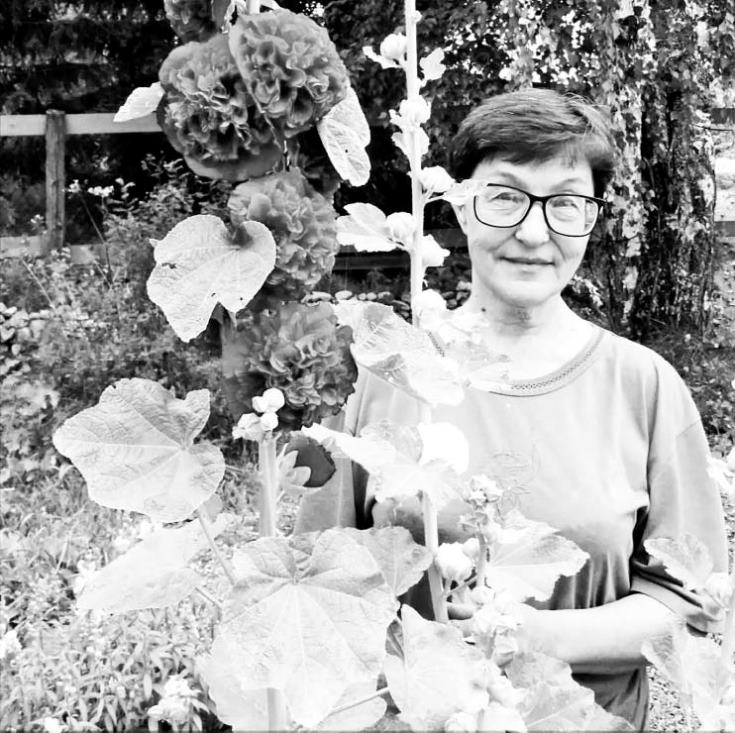 Пенсия кадыд —  медся на шуда да лӧсьыд
