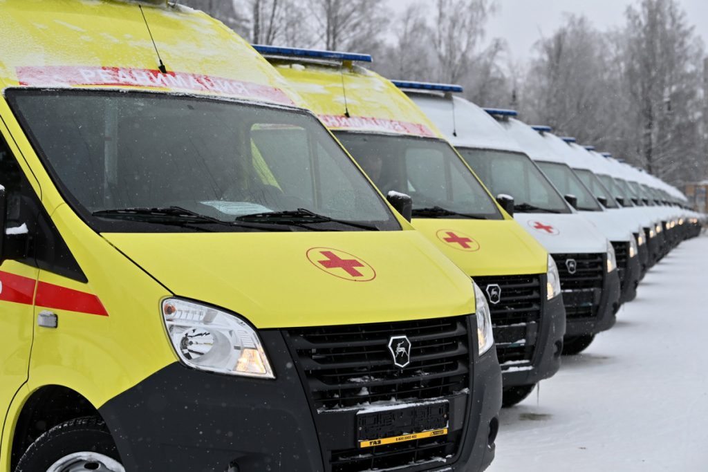 Выльвося козин